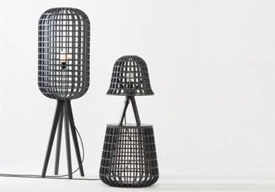 变与不变的智慧，生命的永恒密码